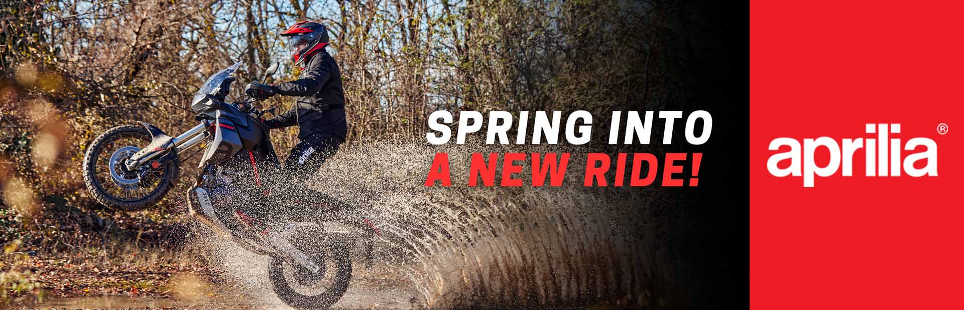 Spring Into A New Ride!