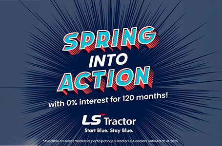 SPRING INTO ACTION