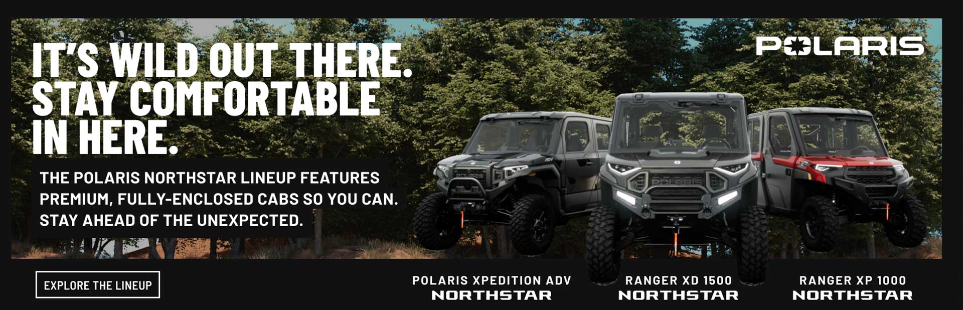 promotion banner