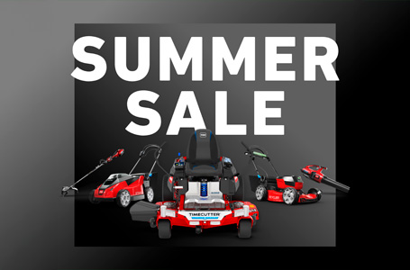 SUMMER SALES BLITZ