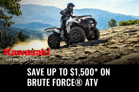 brute force dealers near me