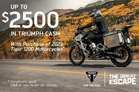 triumph promotions